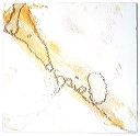 scriptorium-n-birnbaum-45